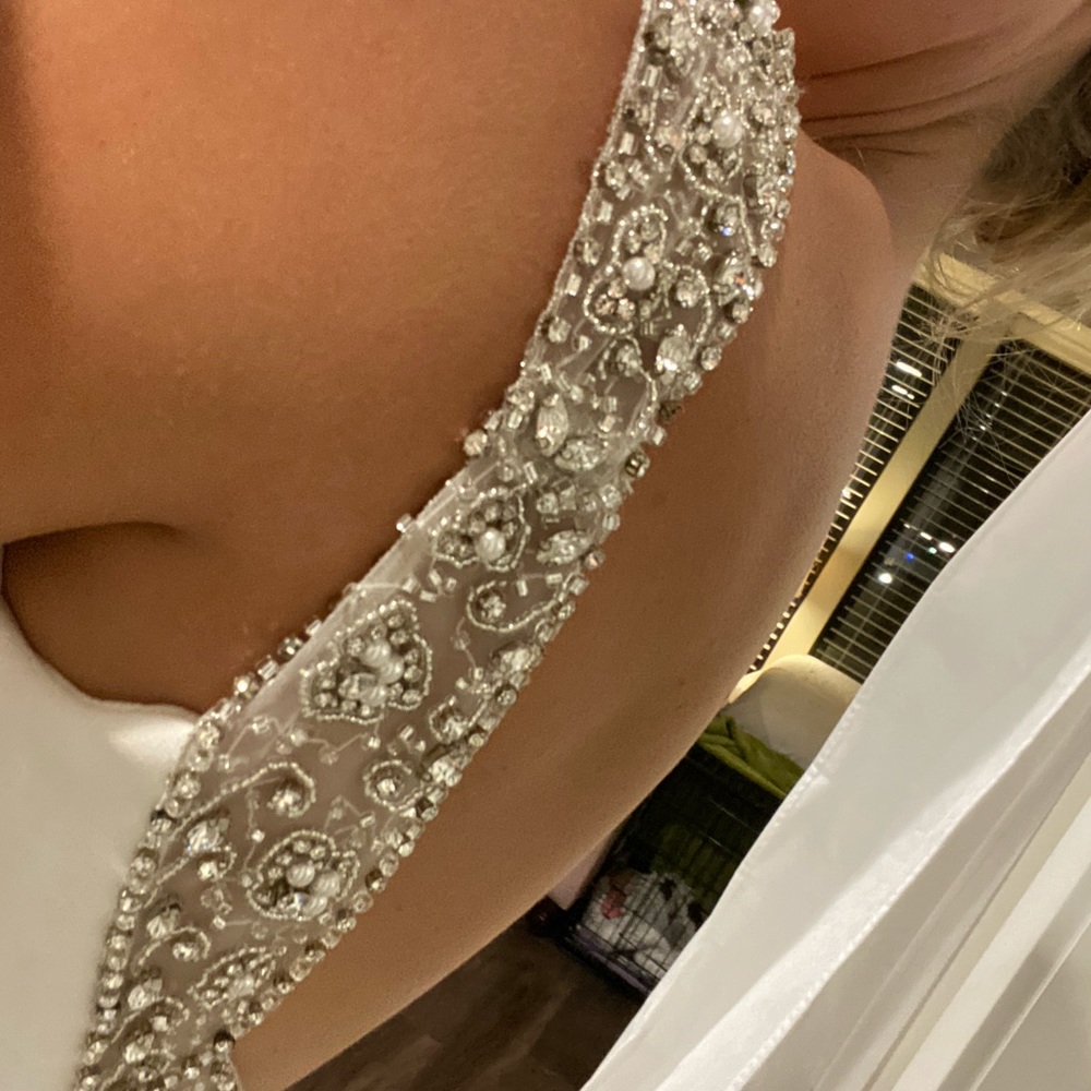 Wedding Dress - Picture 9 of 14